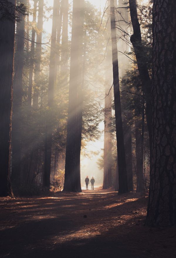 Odio Utsem Nulla Pharetra Diam Sitametnisl Elementum Casey Horner D4TooCIEyF4 Unsplash